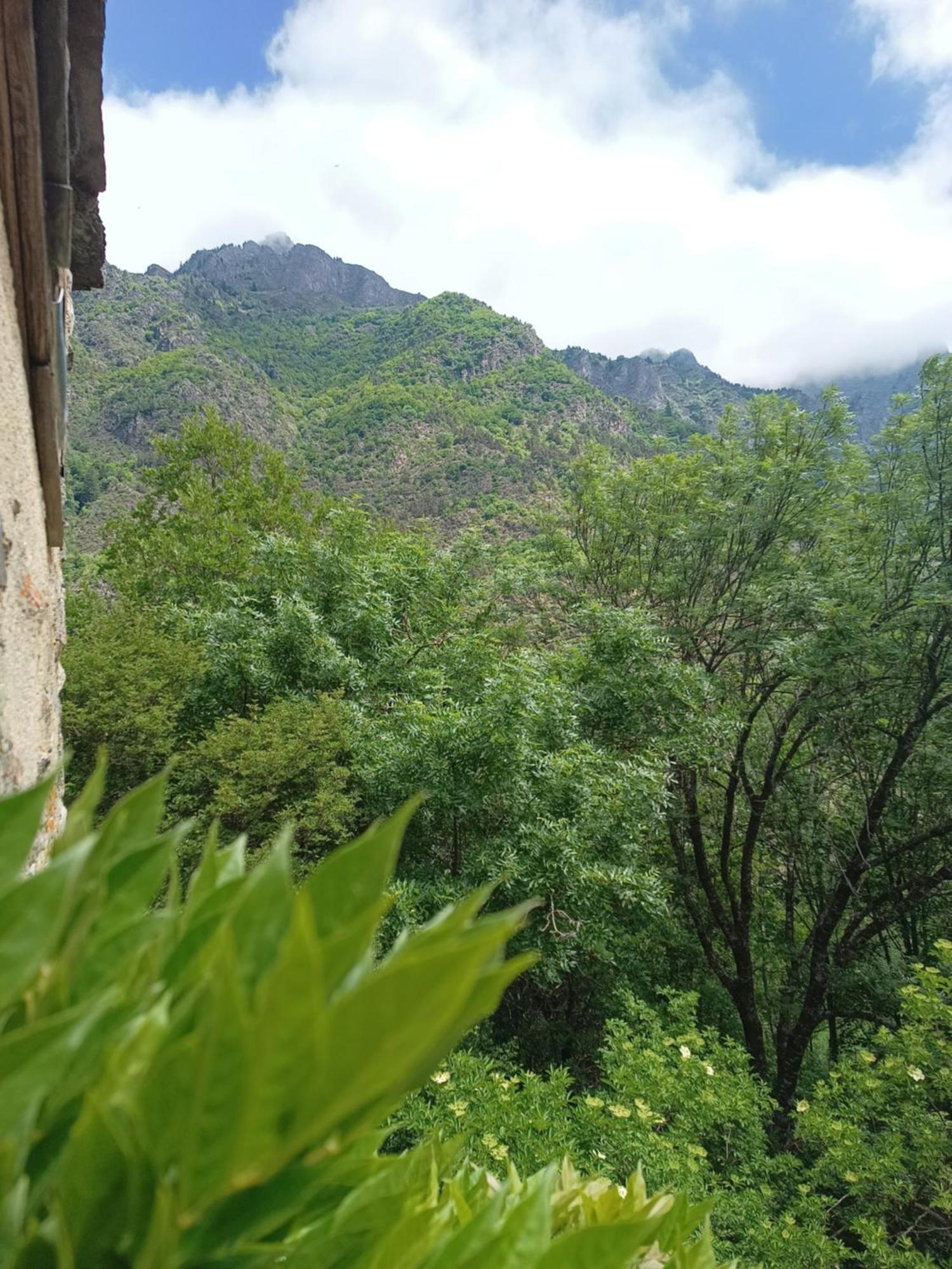 Chambre Ou Gite Dans Une Maison De Montagne - De Suzon A Zelie Entraigues  Bilik gambar